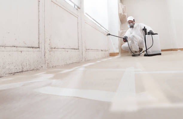 Black mold remediation team in Broad Top